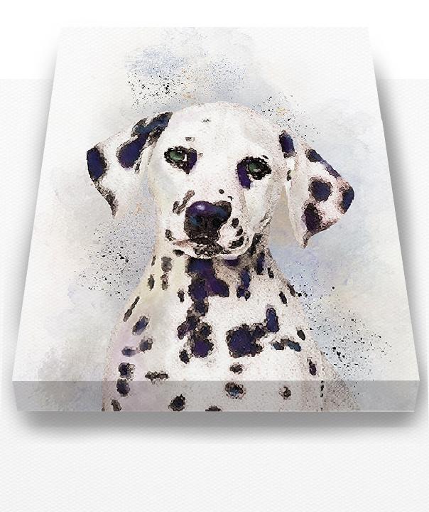 Dalmatian Dog Watercolor Painting Canvas Art Animal Illustration